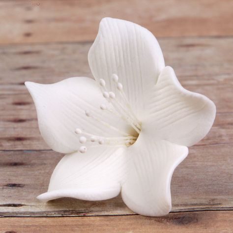 Fondant Agapanthus Flowers